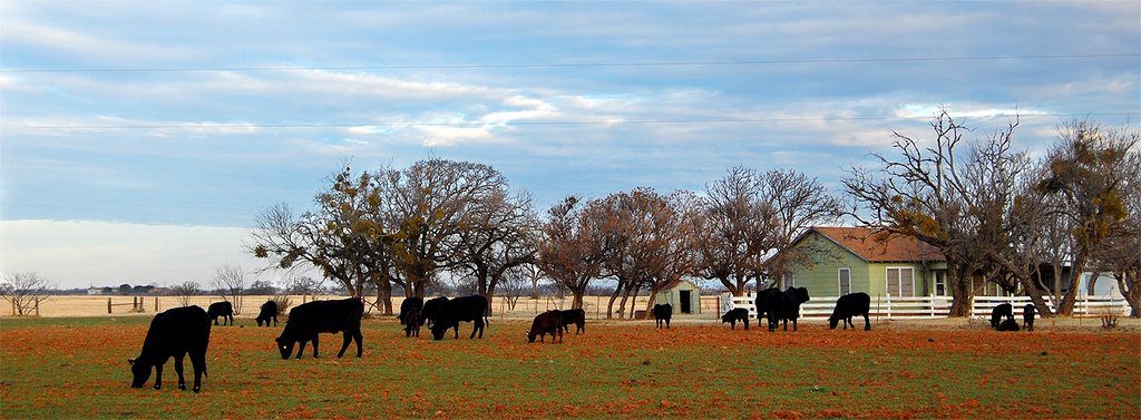 Abilene Ranch