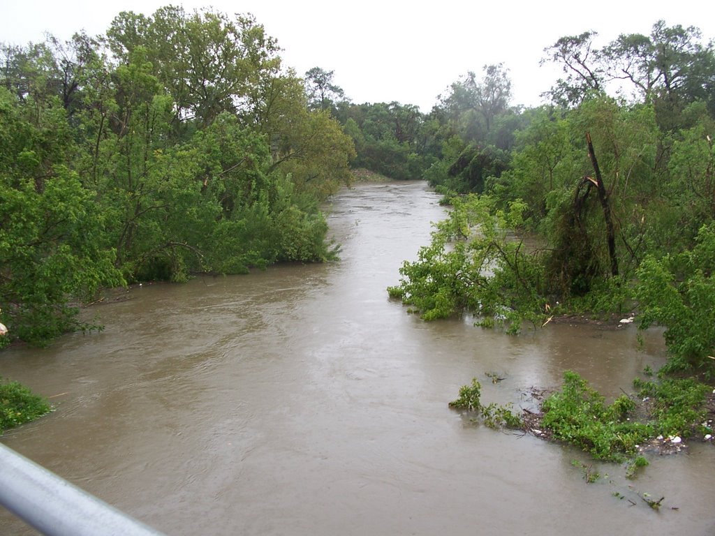 Buffalo Bayou after Hurricane Ike