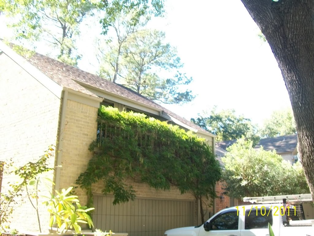 Hudson Forest Roof Repairs and Replacement