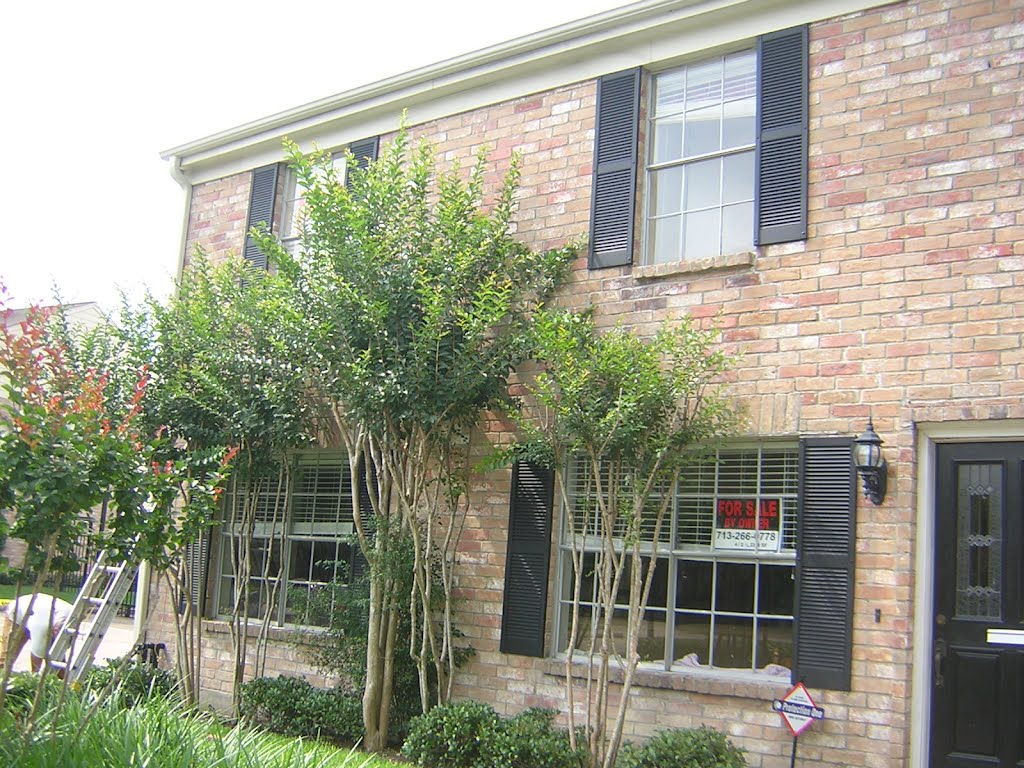 Shingle Roof and Window Leak Repair