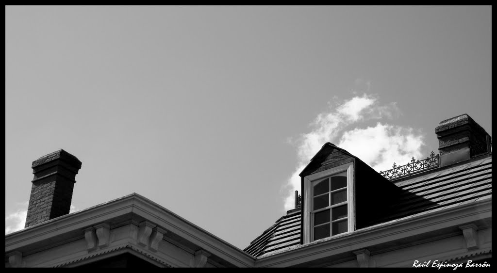 DETALLE VICTORIANO B&N