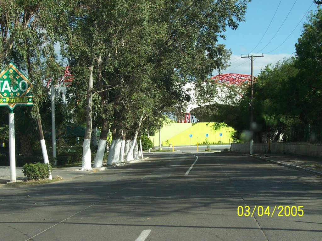 Auditorio Olimpico de fondo