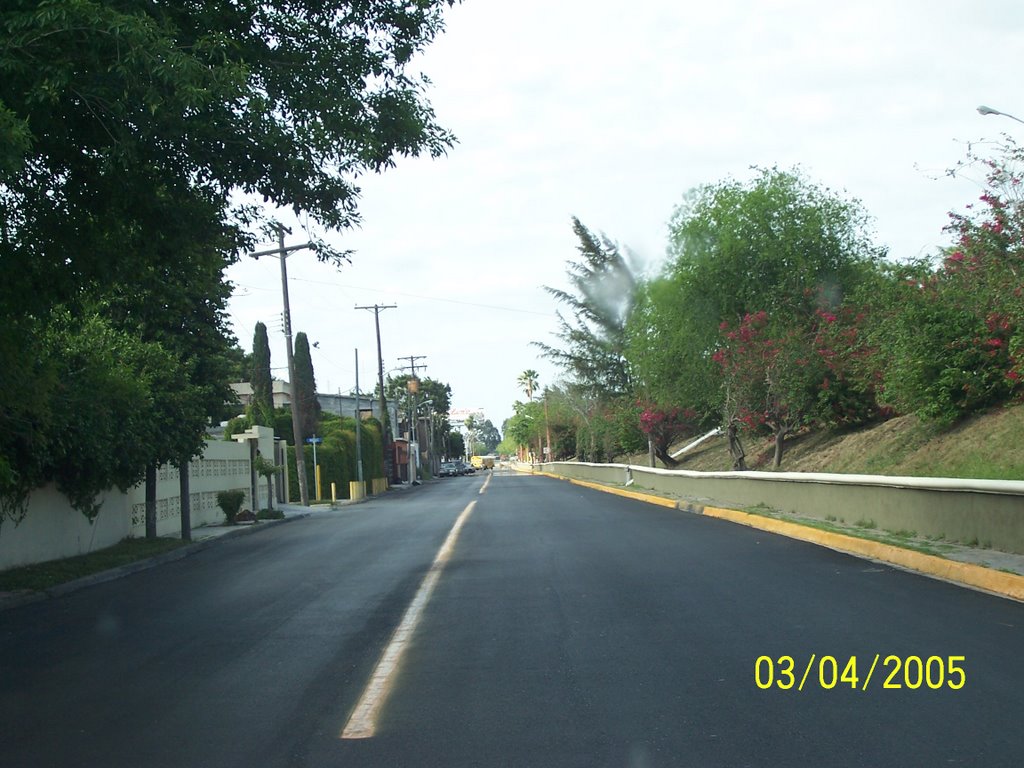 Av. Tamaulipas (bordo del Rio Bravo)