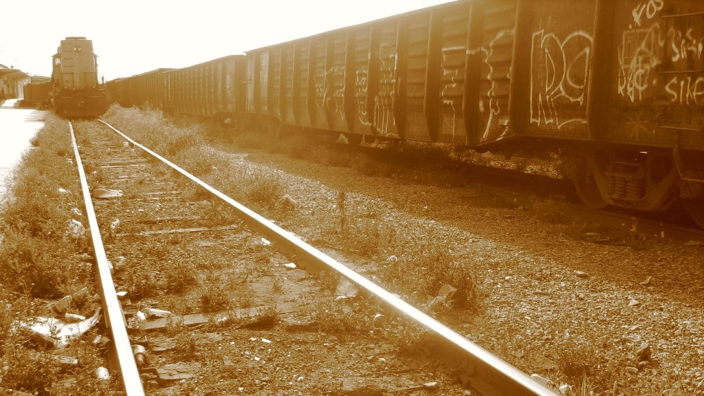 Llegada del tren a la estacion
