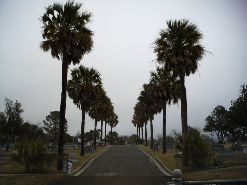 Catholic Cemetery #3