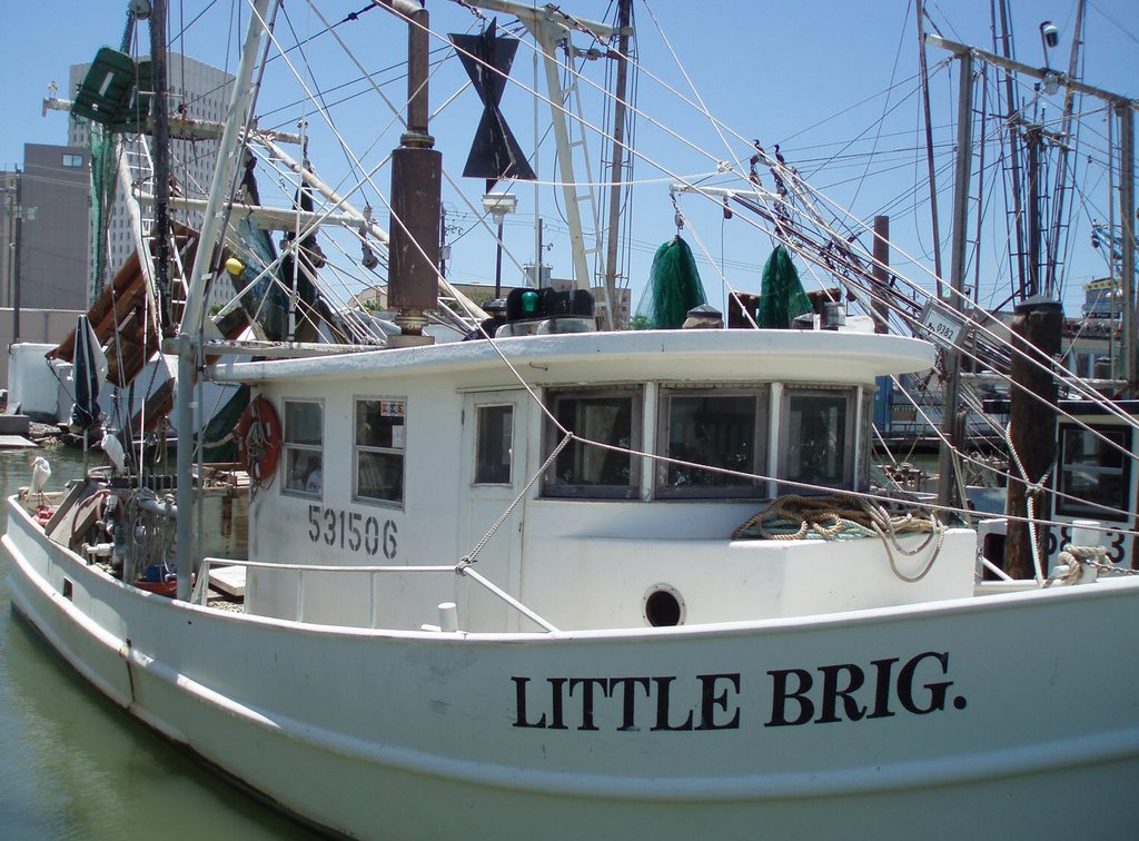 Galvestons Pier 19 before Ike...many boats are gone now