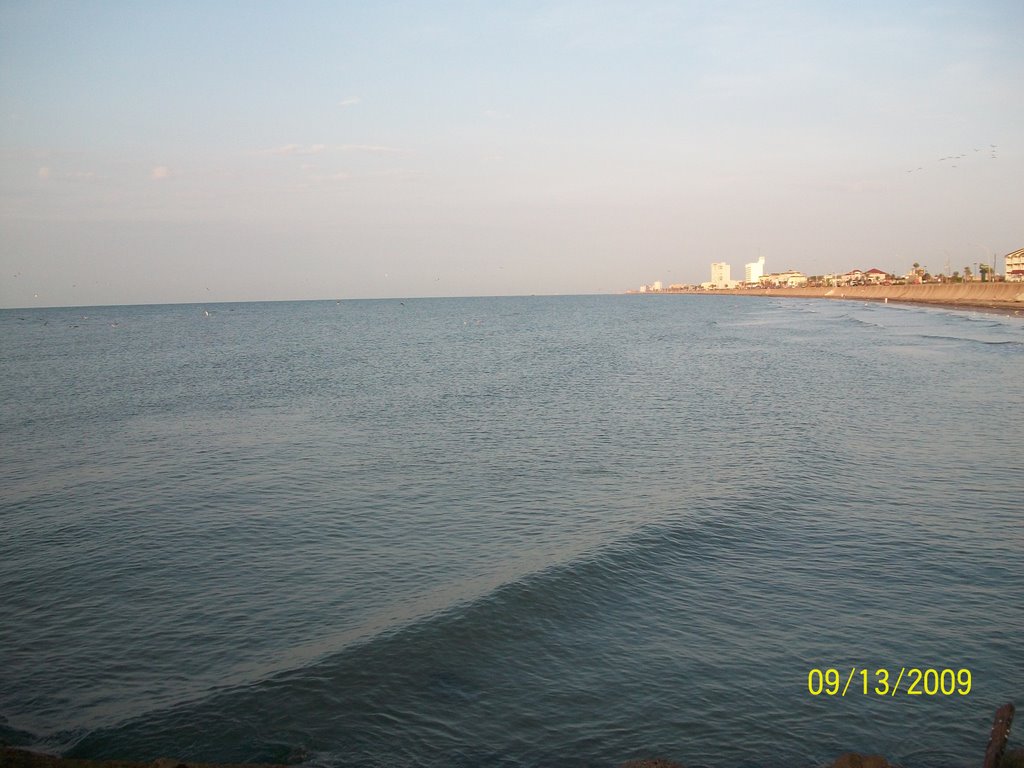 Gulf of Mexico
