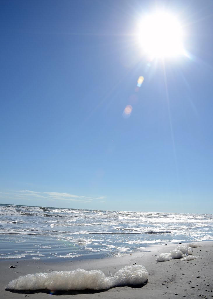 A day at the Beach