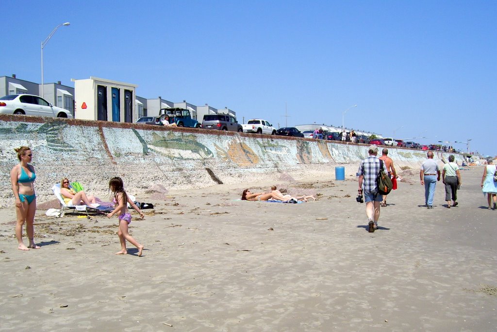 the beachside of the seawall
