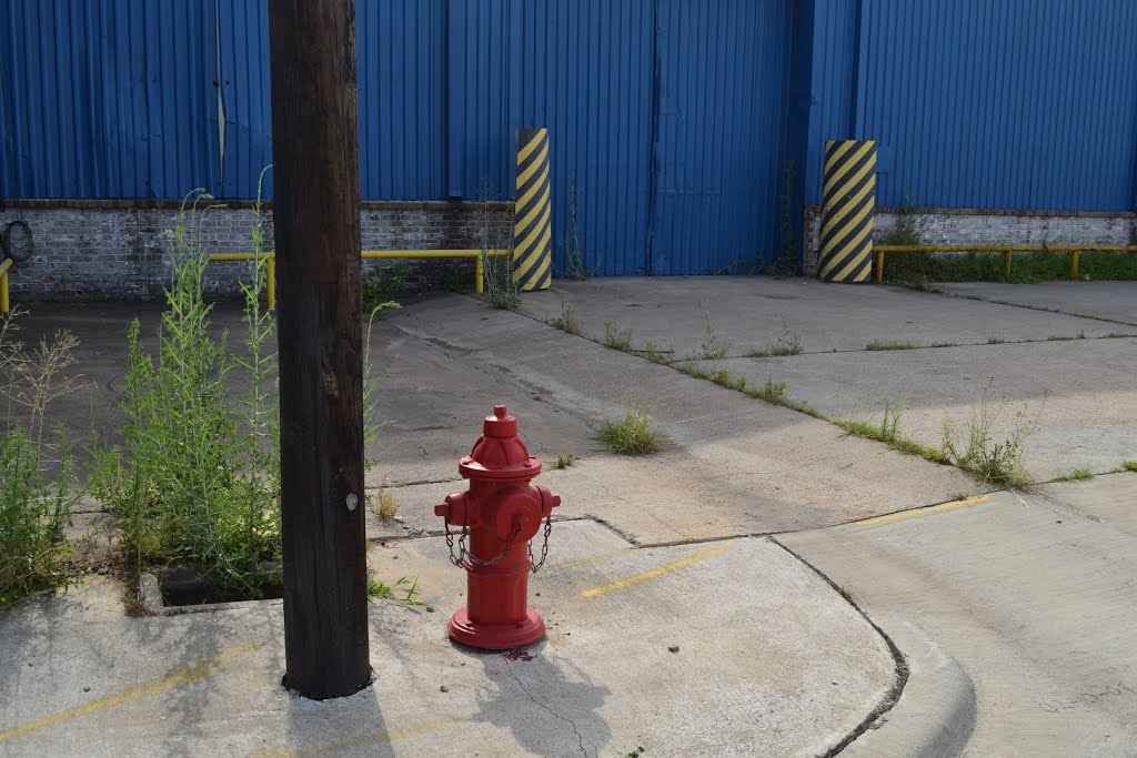 Fire plug.