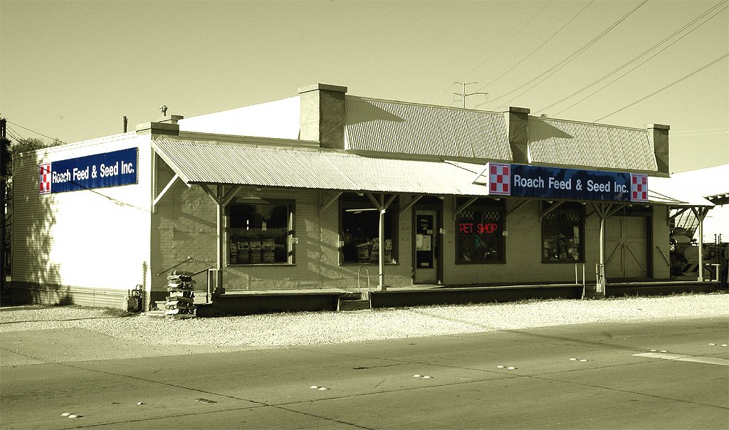 Historic Roach Feed & Seed Store
