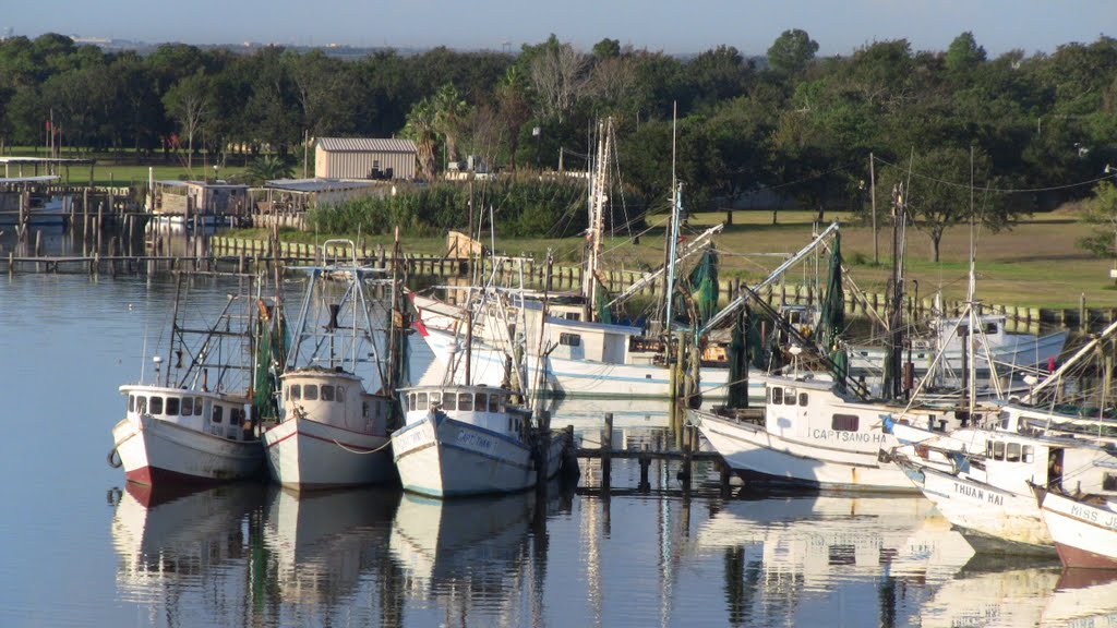 Fishing Boats Company