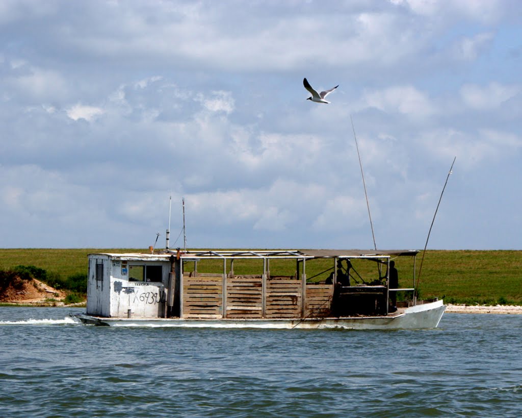 An Oyster Lugger in Moses Lake
