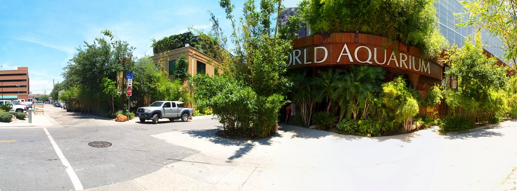 World Aquarium / Dallas / Texas