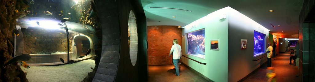 Dallas World Aquarium / Dallas / Texas