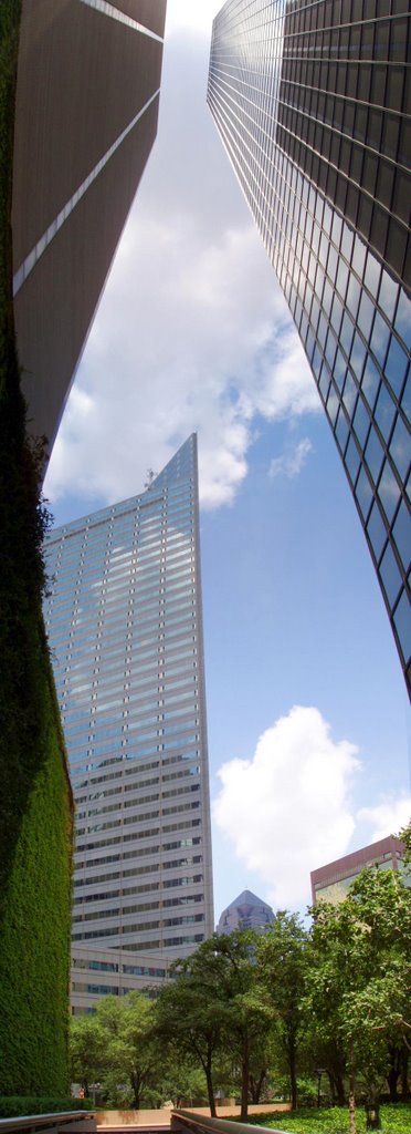 Dallas Texas / Olympus C5000 / Panorama Factory