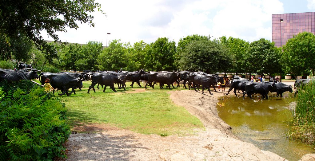 Cattle Crossing Statues Dallas Texas / Olympus C5000 / Panorama Factory