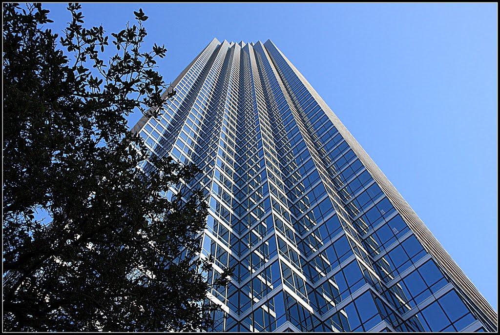 Sky High. Booming Dallas.