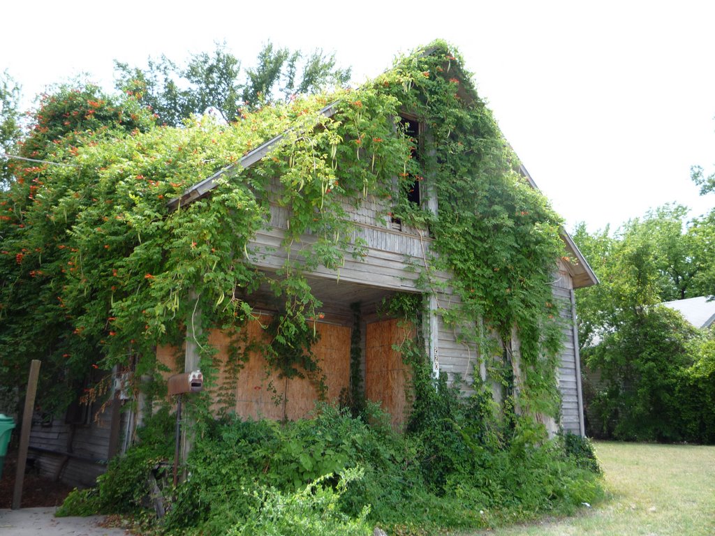 Green House, E. Sycamore St., Denton, Texas.