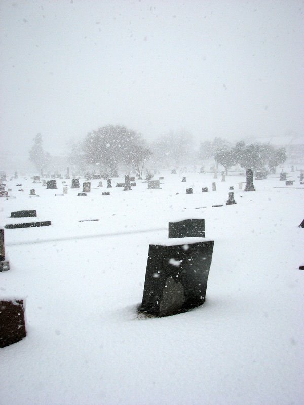 Snow Day (2008)