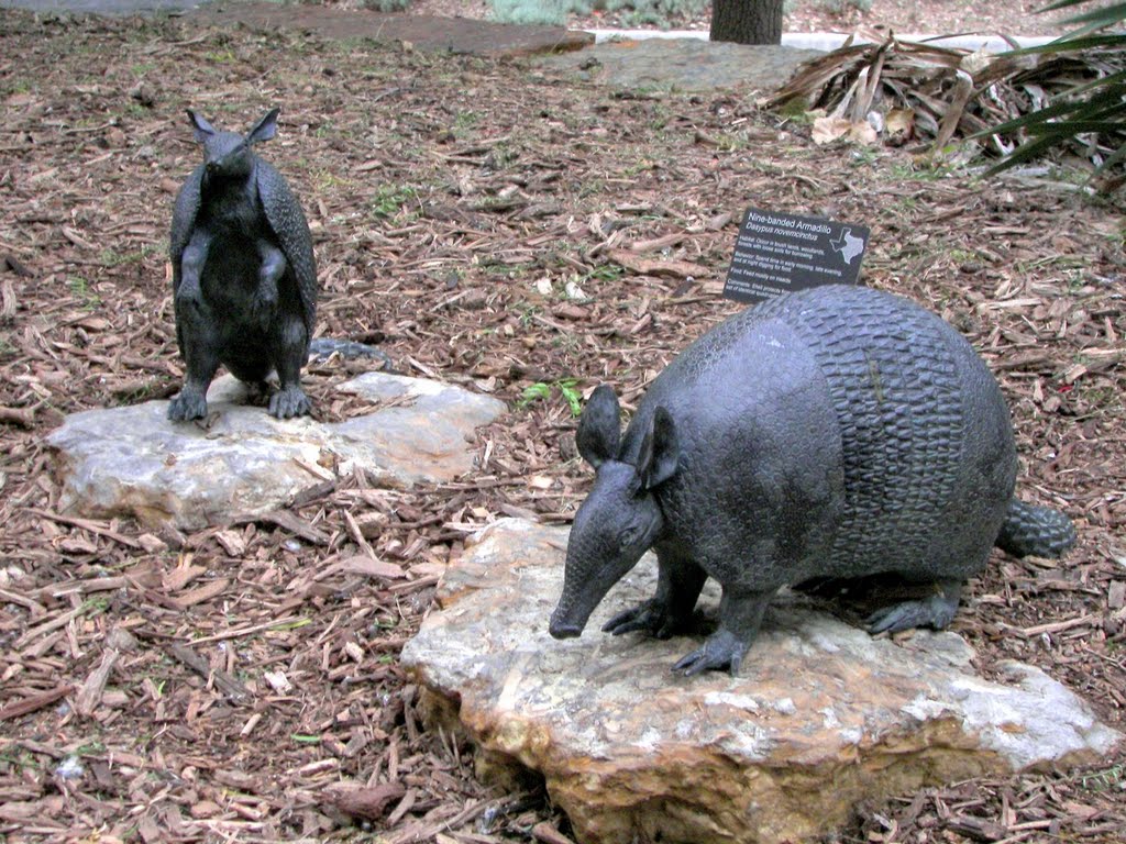 David Iles bronze nine-banded armadillo, Environmental Education Science & Technology Building, University of North Texas, Denton, TX