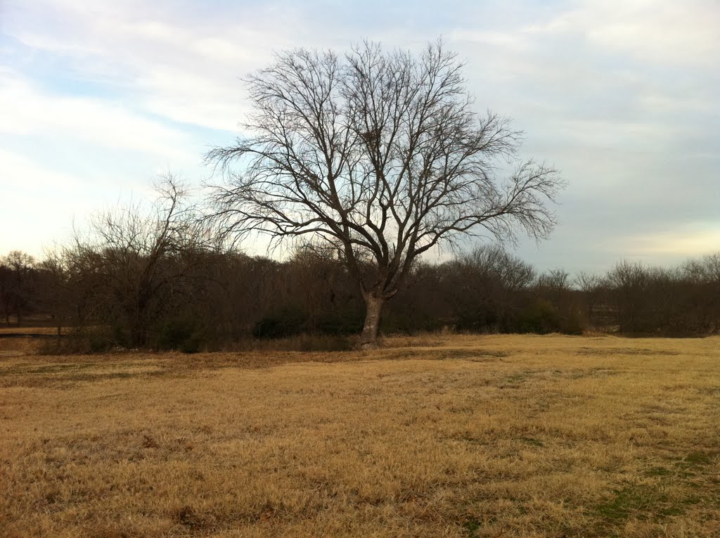 Woodrow Park, Denton, TX