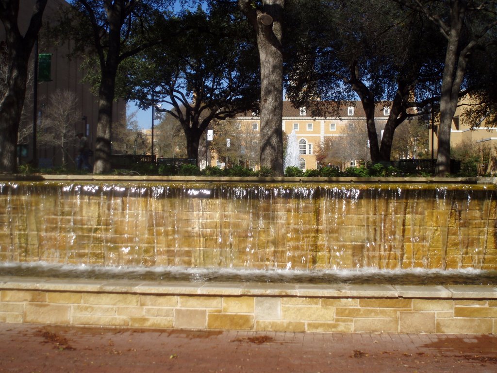 UNT