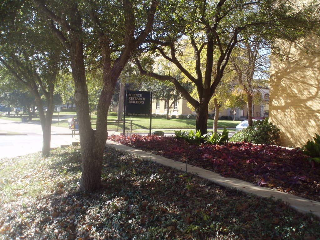 UNT Campus