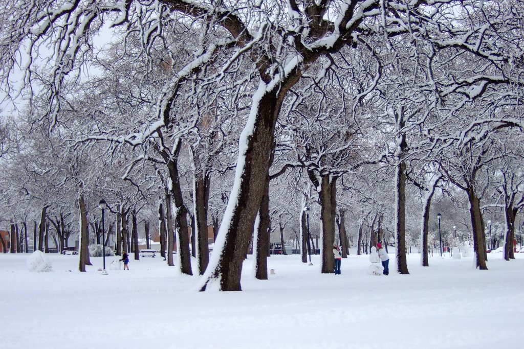 Snow at TWU
