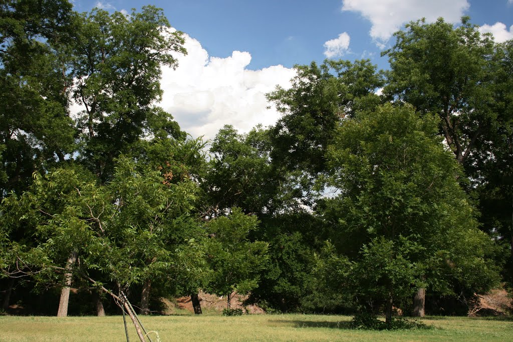 Texas Tech@Junction Pecan Bottom