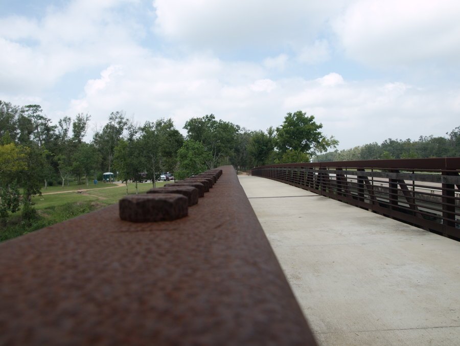 Bridge over Turtles