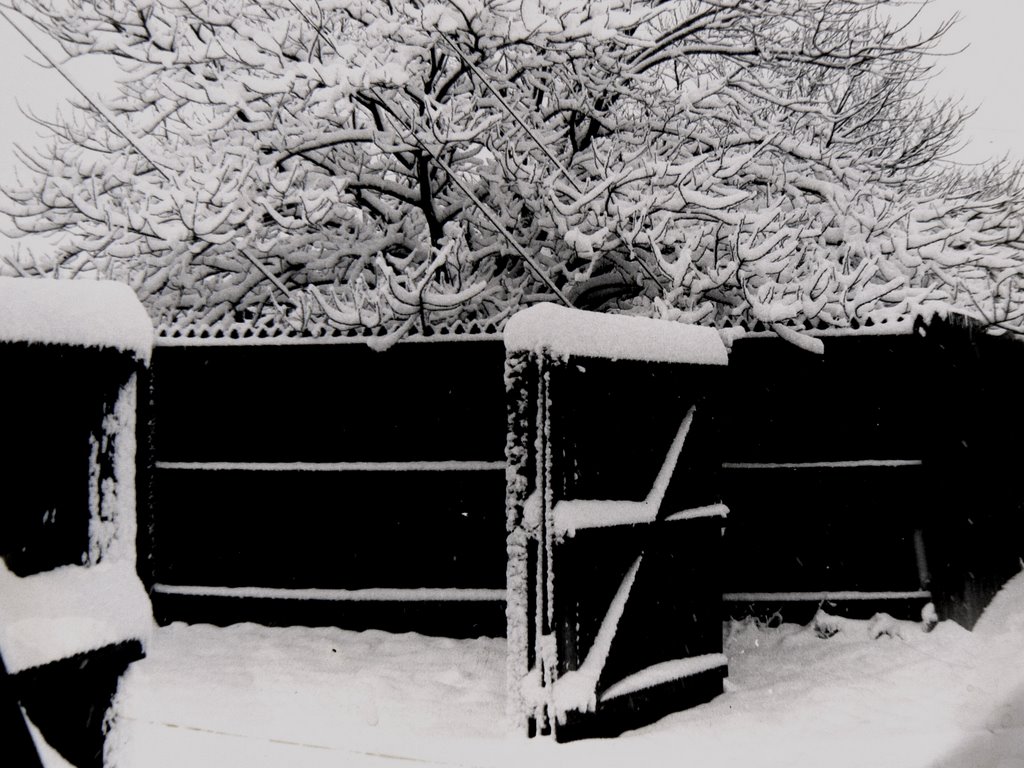Irving. Texas. Heavy Snow.