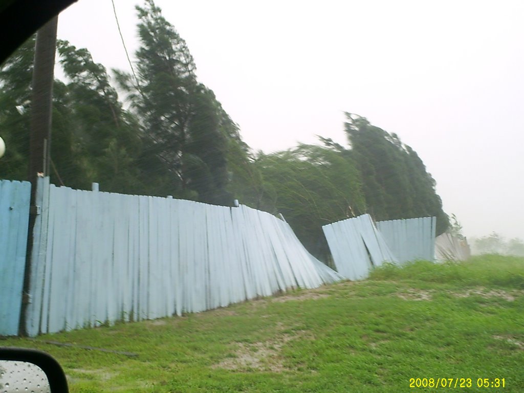 Hurricane Dolly on highway 100 east of Los Fresnos, TX