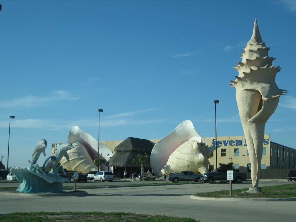 US Shell    -   Near Los Fresnos, TX