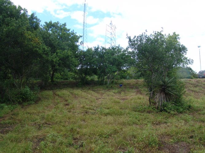 Middle of lot to front of lot view