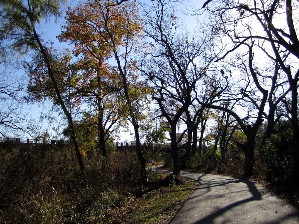 Salado Creek Greeway, San Antonio, TX