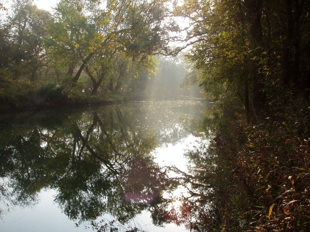 Morning on Salado Creek