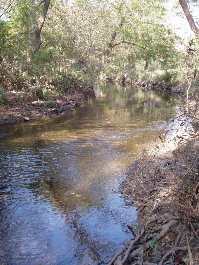 Salado Creek at the Crossing of the Old Gonzales Road