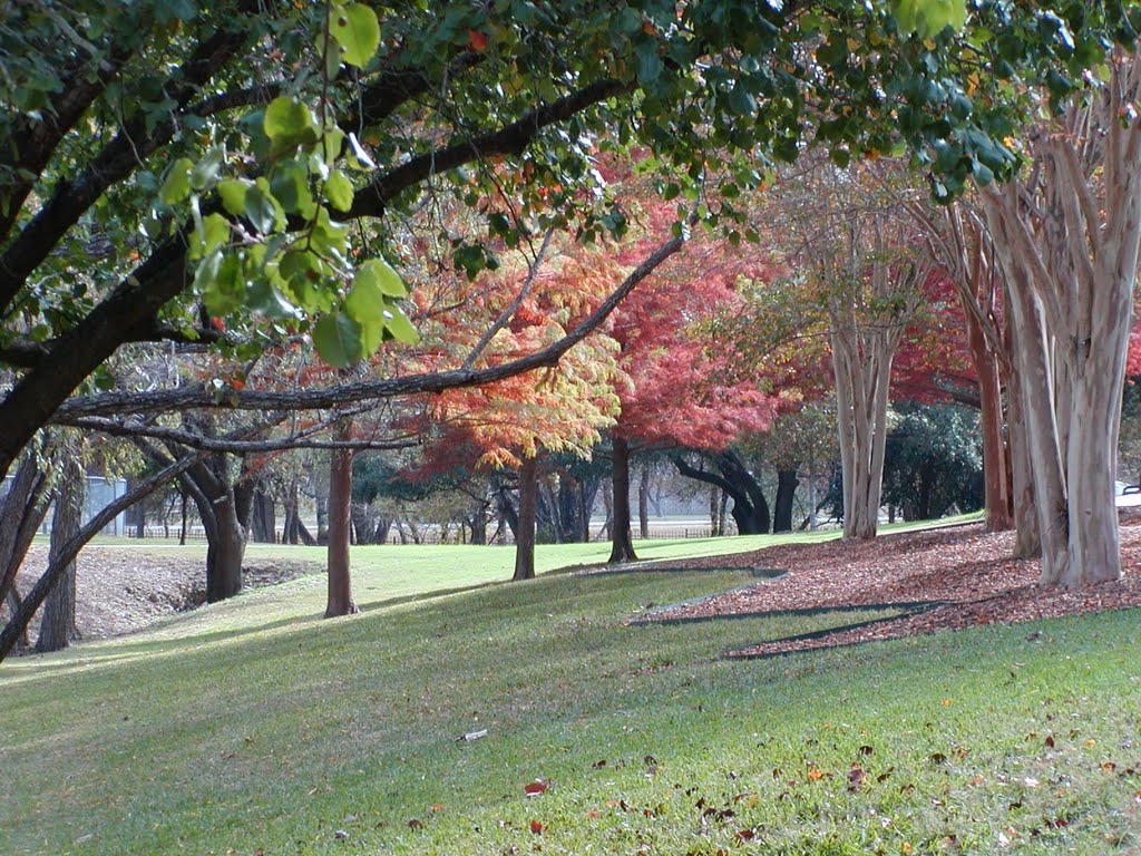 Autumn in Bel Meade Park