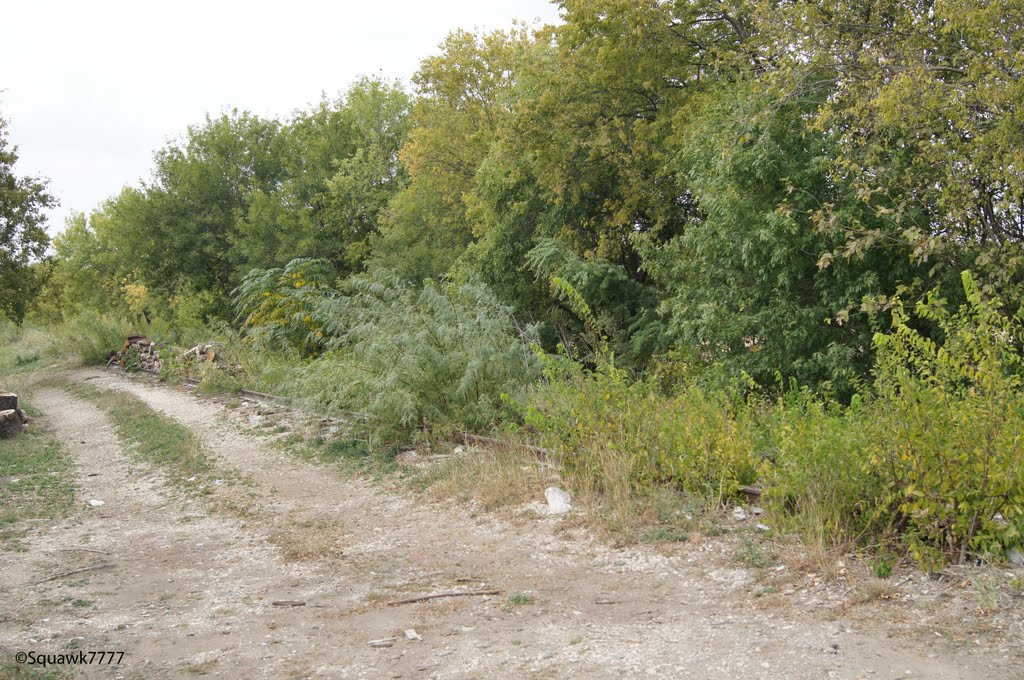 abandoned track