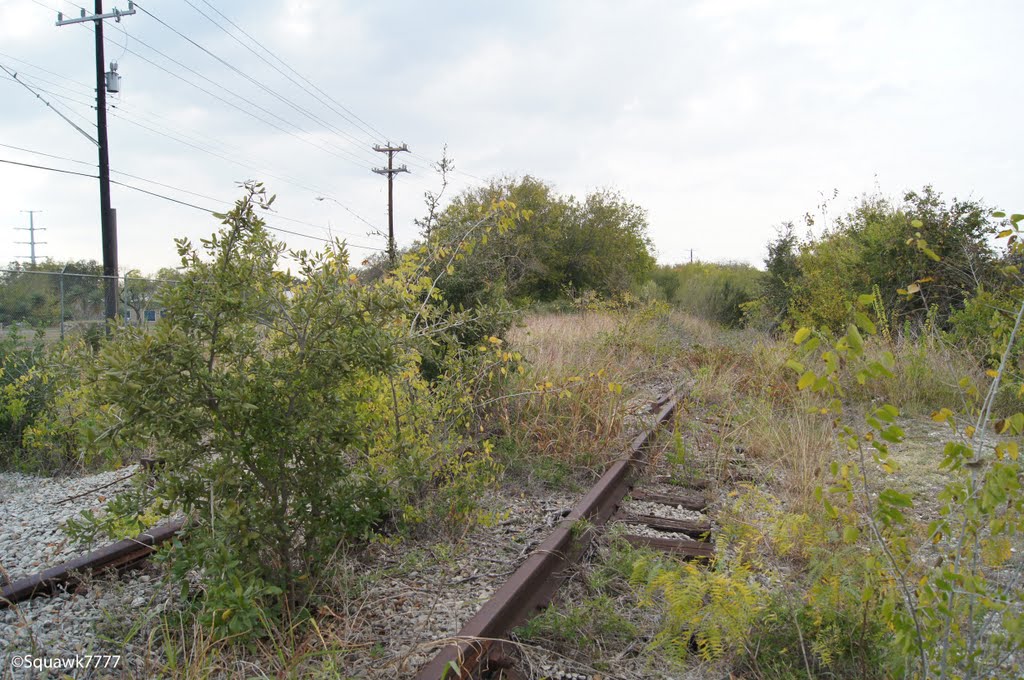 overgrown switch