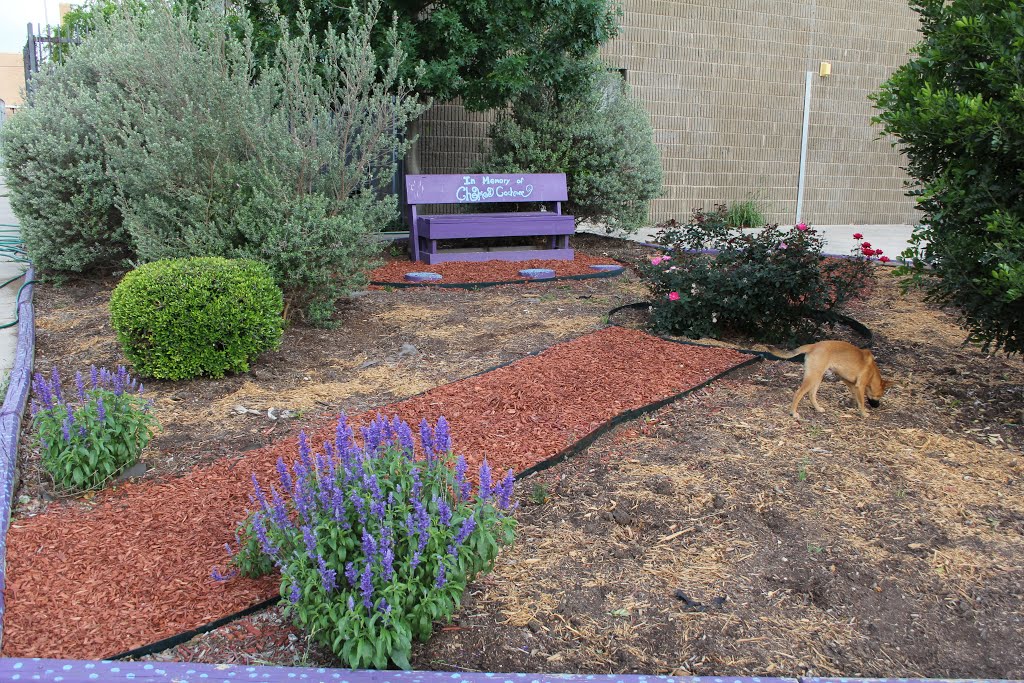 Memorial Garden