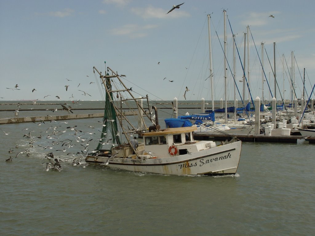 20090609-CDXIX-Miss Savanah-Corpus Christi