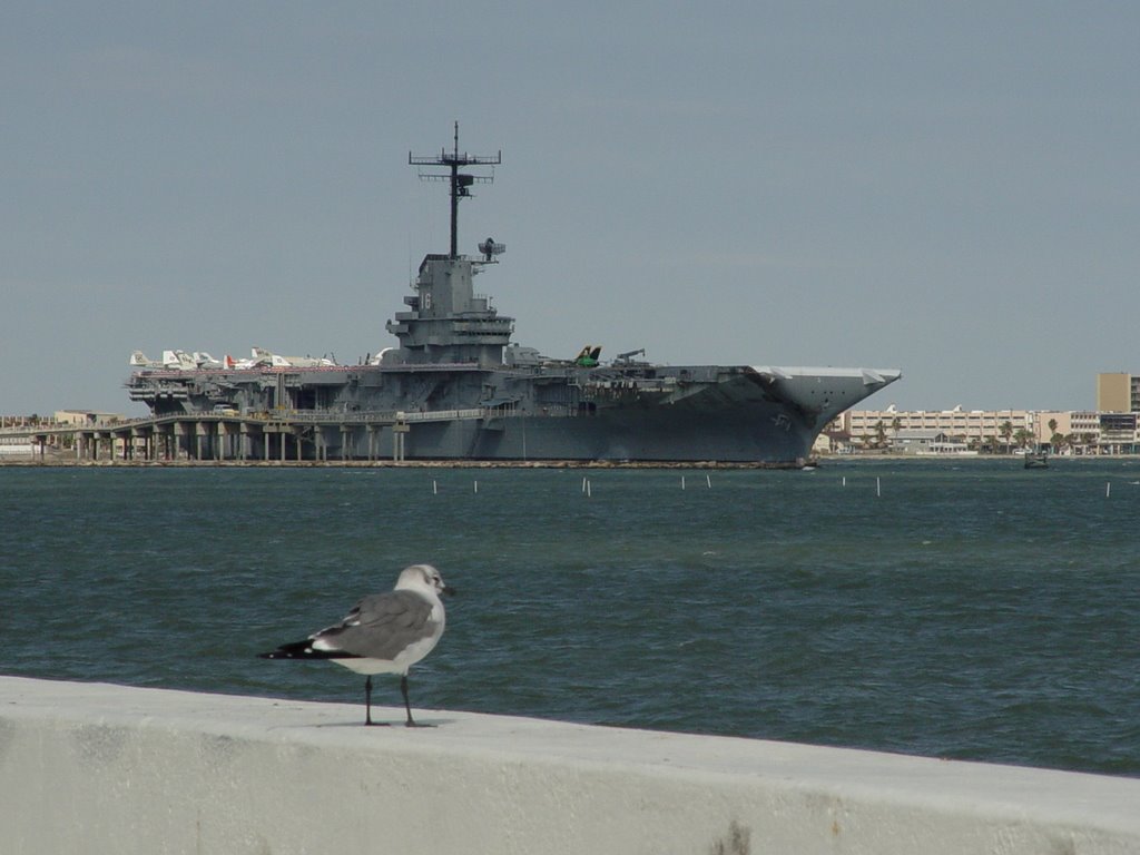 20090609-CDXX-USS Lexington from Shoreline Blvd.-Corpus Christi