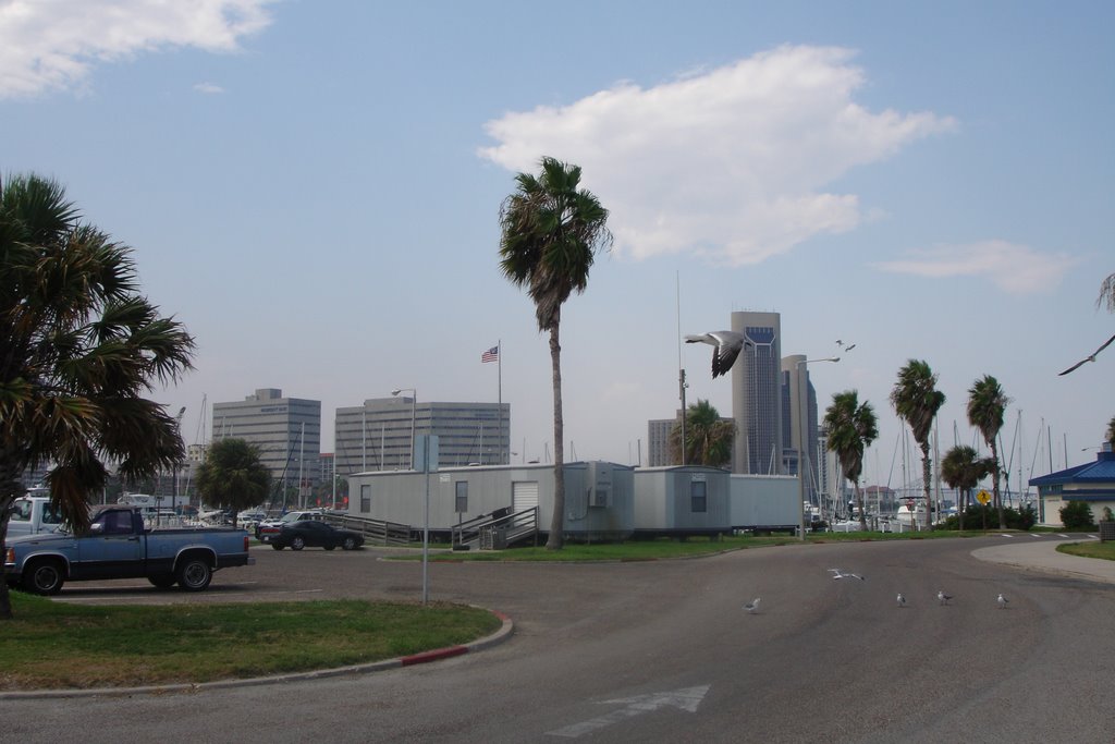 Corpus Christi - Texas