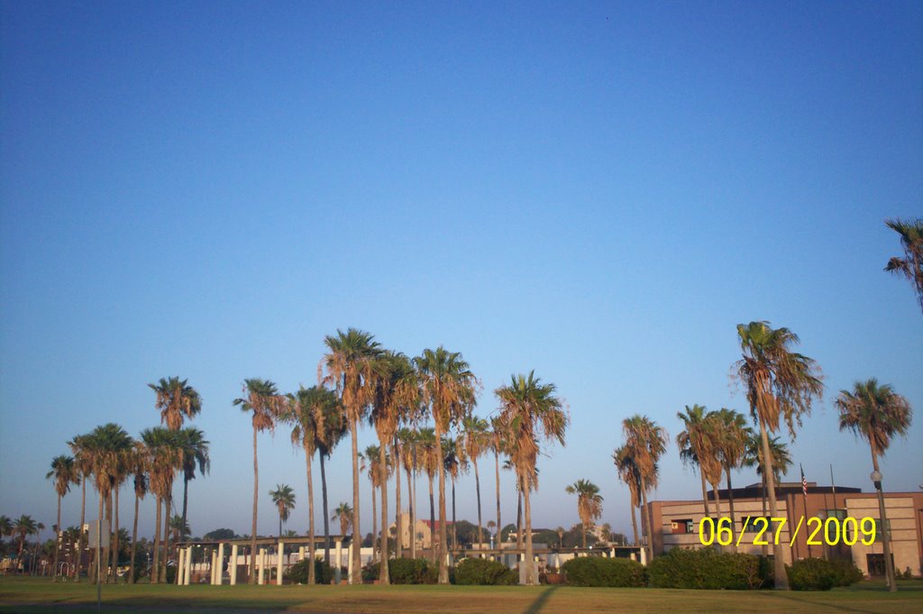 las palemras dawntown