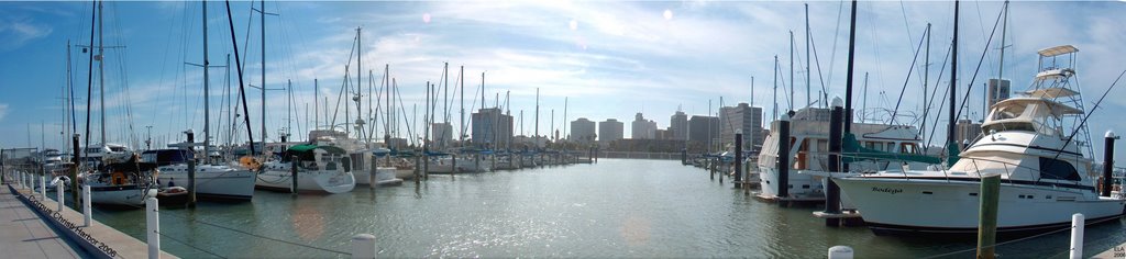 Corpus Christi Harbor Panorama