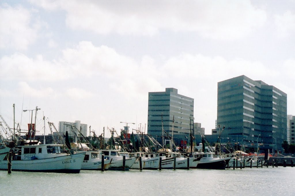 centro de la ciudad de Corpus Christi,