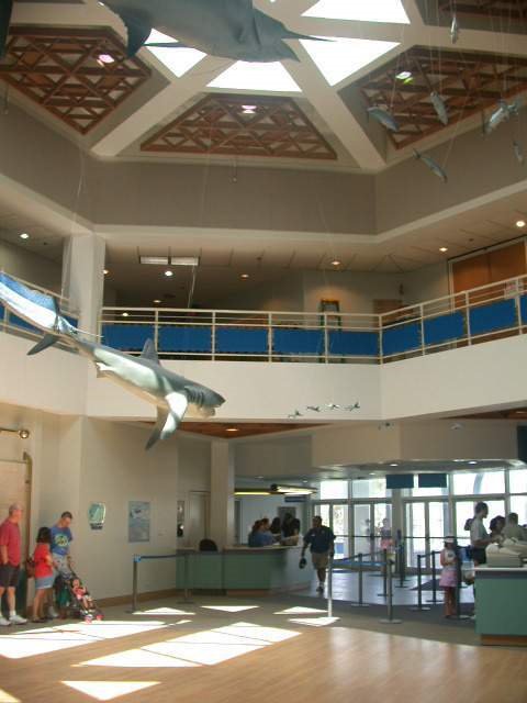 Texas State Aquarium - Corpus Christi, TX