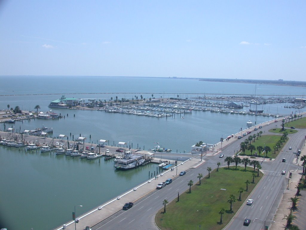 View of Marina - Corpus Christi, TX